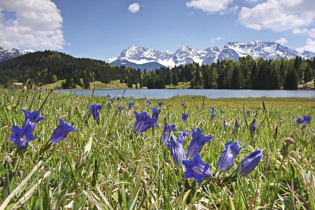 Apartamento Beim Gschdoaga Mittenwald Exterior foto
